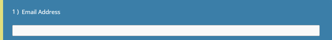 Email Address Field