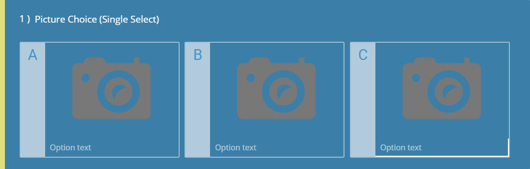 Picture Choice (Single-Select) Question